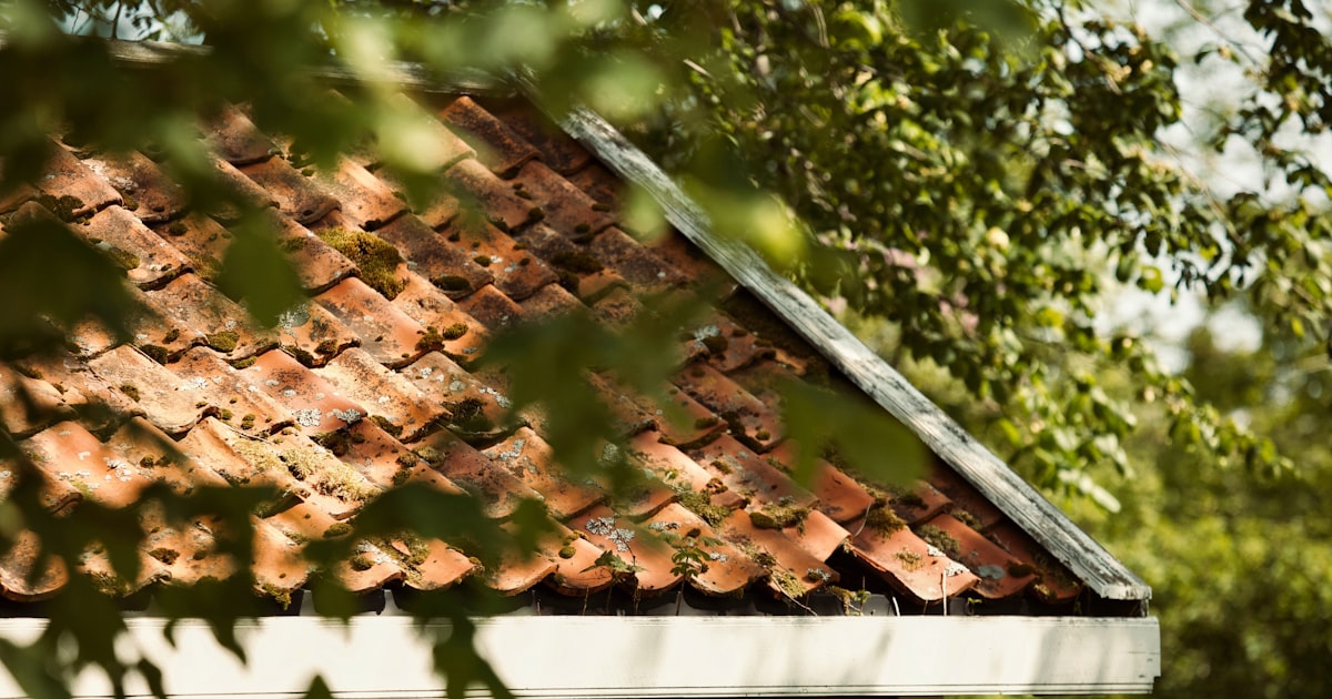 Close-up of residential roof tiles for solar suitability